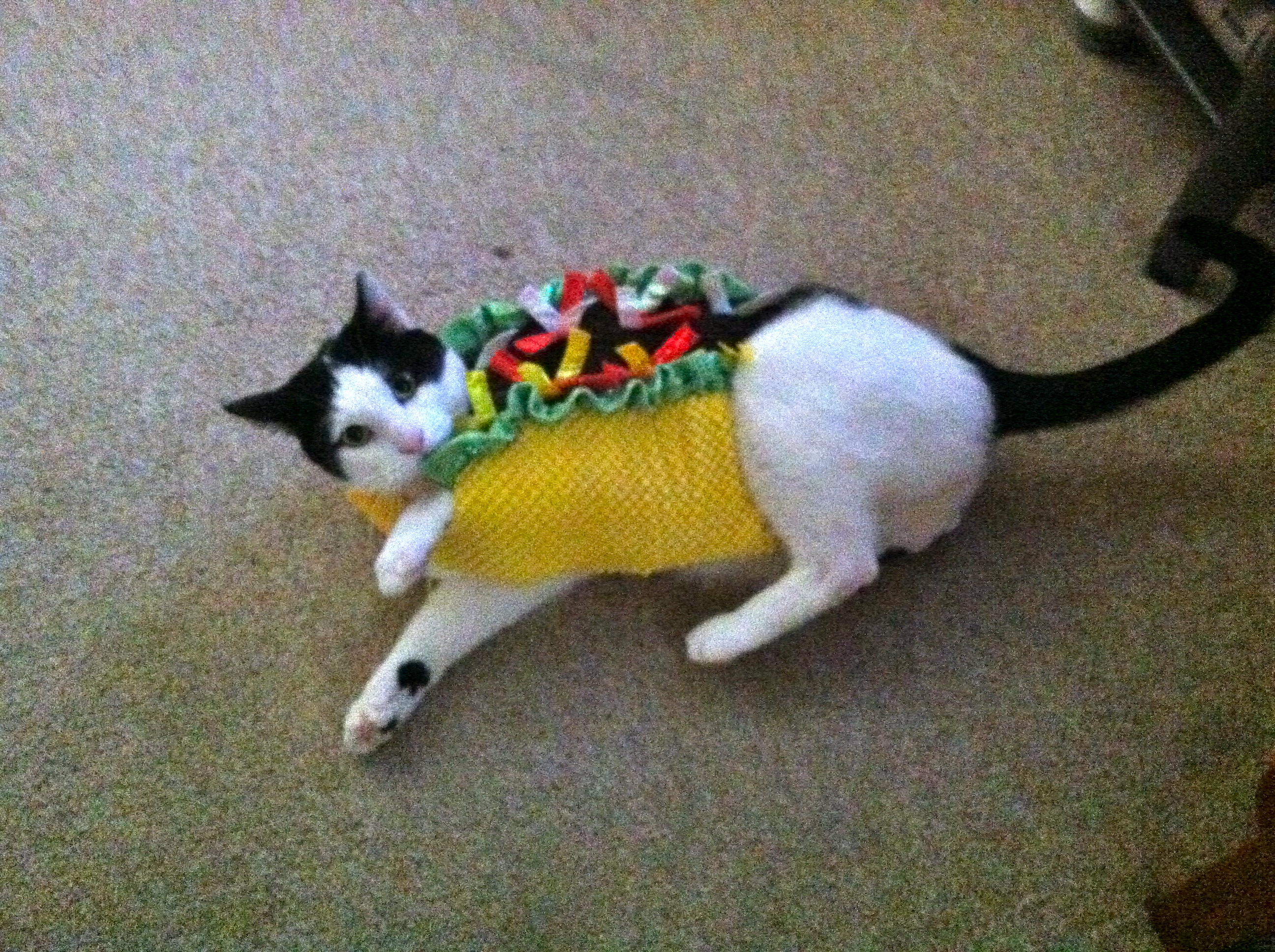 Bean Taco