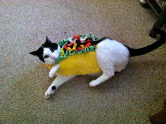 Bean Taco
